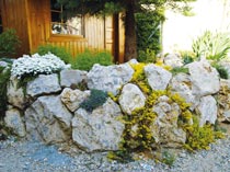 Garten- und Landschaftsbau