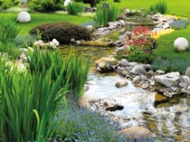 Garten- und Landschaftsbau